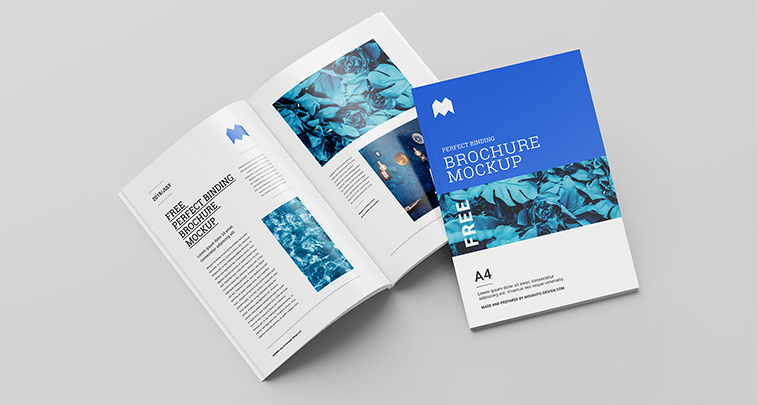 Apollo Healthcare Rebrand